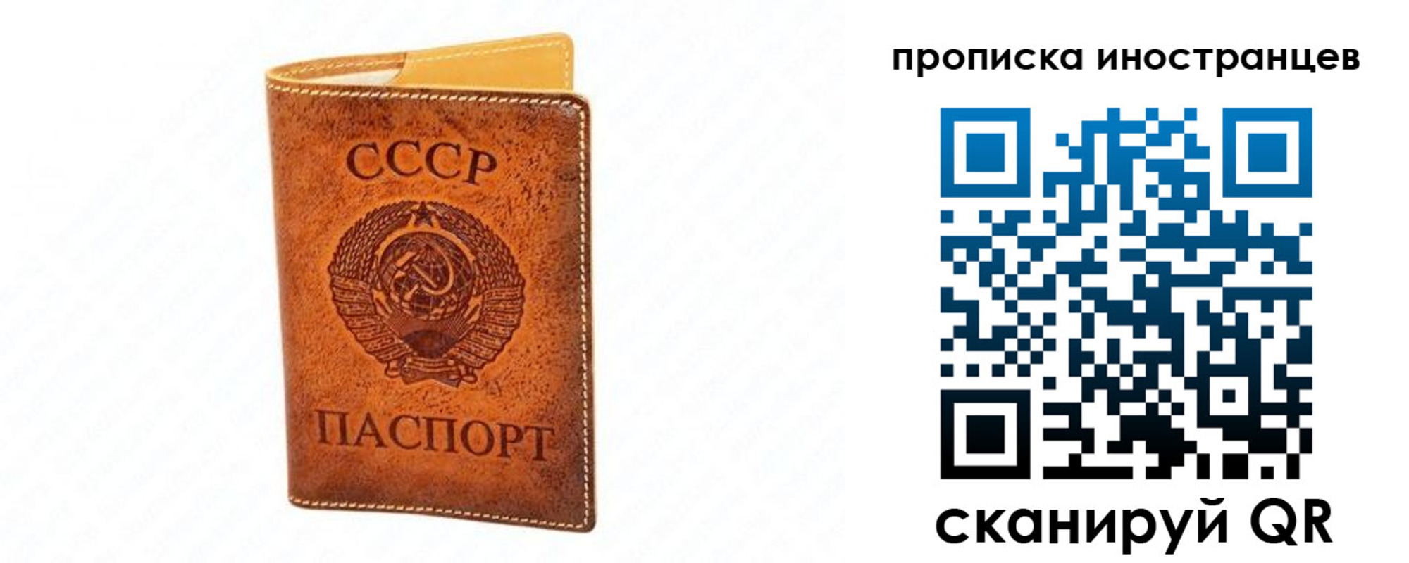 прописка для школы в Сухиничи